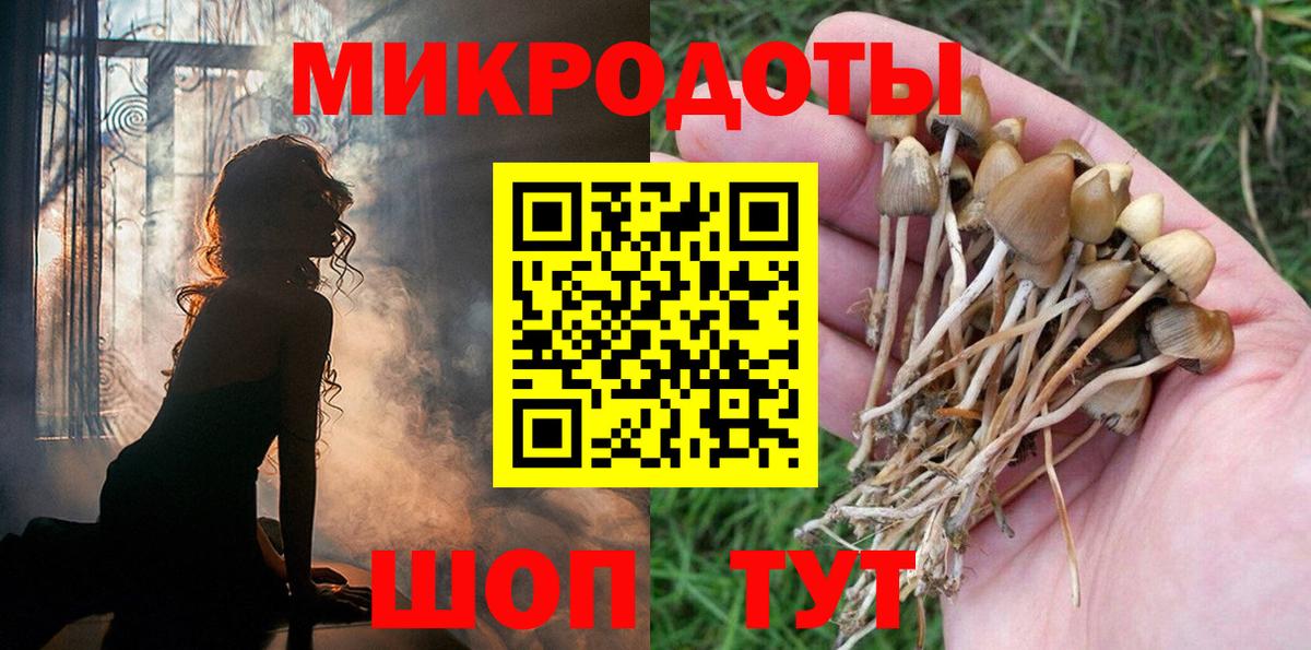 Галлюциногенные грибы Magic Shrooms Зеленогорск